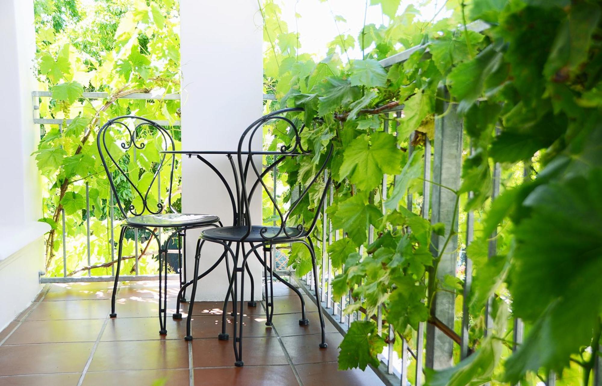 Penelope'S Stellenbosch Bed & Breakfast Exterior foto