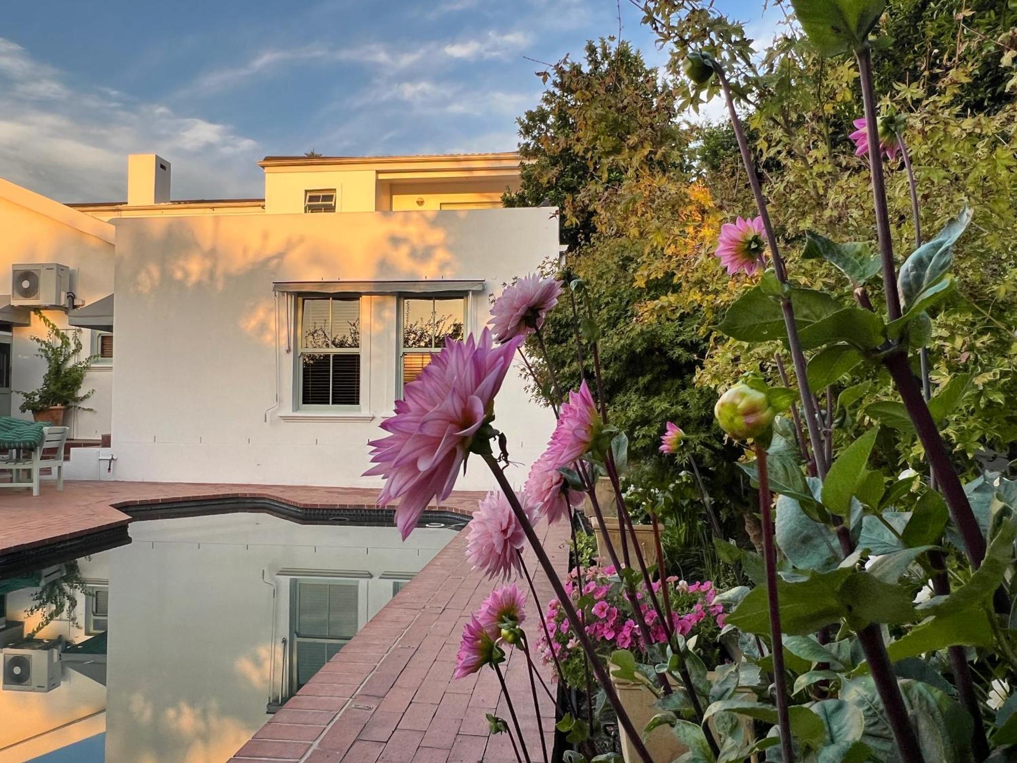 Penelope'S Stellenbosch Bed & Breakfast Exterior foto